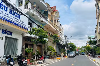 Tuyến đường Lý Thường Kiệt, phường 3, thành phố Bạc Liêu (tỉnh Bạc Liêu), hai bên đường được trồng cây Viết, có gần 30 năm tuổi đang xanh tốt, rất đẹp mắt. Nhưng, không hiểu sao đơn vị chức năng "bứng" đi để trồng các cây khác, khiến nhiều cán bộ, nhân dân rất bức xúc. (Ảnh: TRỌNG DUY)
