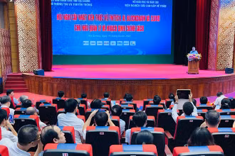 Các đại biểu nghe Giáo sư Ngô Bảo Châu thuyết trình về ứng dụng công nghệ số.