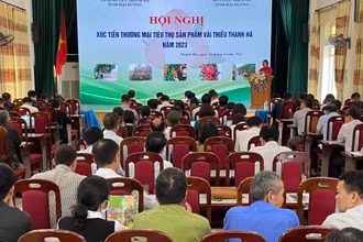 Hội nghị xúc tiến thương mại tiêu thụ sản phẩm vải thiều Thanh Hà.