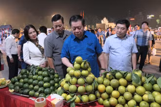 Trưởng Ban Tuyên giáo Trung ương Nguyễn Trọng Nghĩa tham quan gian trưng bày sản phẩm Hà Giang.