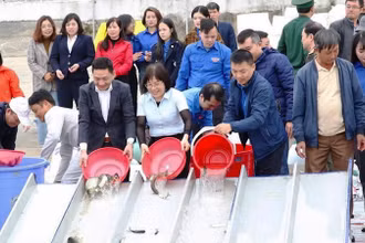 Các đại biểu dự Lễ phát động thả con giống thủy sản các loại xuống sông Hồng đoạn qua địa bàn xã Mỹ Tân, thành phố Nam Định, tỉnh Nam Định.