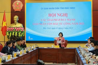 Chủ tịch Ủy ban nhân dân tỉnh Bắc Ninh Nguyễn Hương Giang kết luận hội nghị.