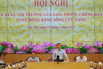 Phó Thủ tướng Trần Hồng Hà phát biểu tại hội nghị. 
