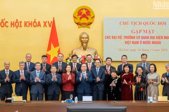 Chủ tịch Quốc hội Trần Thanh Mẫn với các đại buổi tại cuộc gặp.