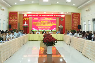 Quang cảnh hội nghị. (Ảnh: CTV HQ) 