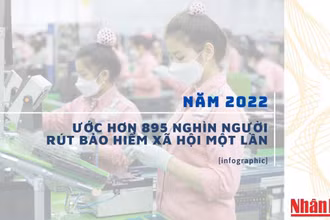 [Infographic] Năm 2022, ước hơn 895 nghìn người rút bảo hiểm xã hội một lần