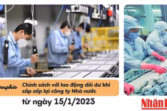  [Infographic] Chính sách mới với lao động dôi dư khi sắp xếp lại công ty Nhà nước