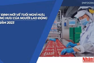 [Infographic] Quy định mới về tuổi nghỉ hưu, lương hưu của người lao động từ năm 2023 