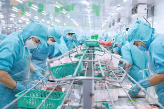 Lao động tại Công ty Sao Mai (Ảnh minh họa: nhandan.vn).