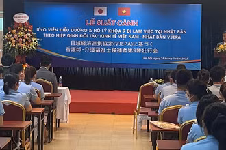 Thêm hơn 150 ứng viên điều dưỡng, hộ lý sang tiếp tục học tập và làm việc tại Nhật Bản. (Ảnh: Dolab)