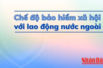Đồ họa: Phương Nam.