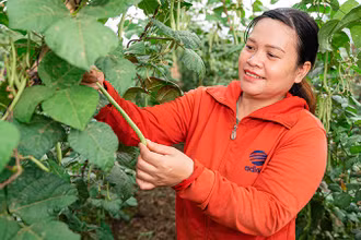 Phụ nữ tham gia chương trình “She Feeds the World”. (Ảnh: CARE)