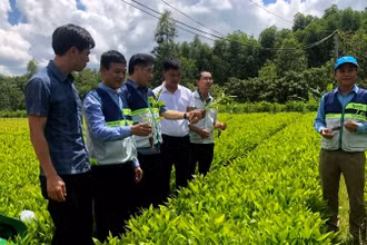 [Video] Phê duyệt Đồ án Quy hoạch chung xây dựng Khu lâm nghiệp ứng dụng công nghệ cao vùng Bắc Trung Bộ