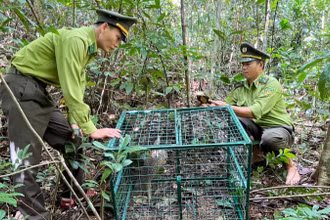 Cán bộ hạt kiểm lâm huyện Nam Đông và thành phố Huế trước đây từ đầu năm đến nay vẫn chưa được nhận lương.