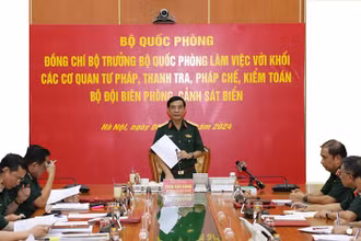 Đại tướng Phan Văn Giang phát biểu kết luận buổi làm việc.