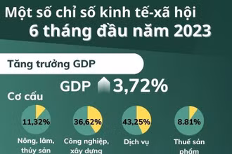 Nguồn: Tổng cục Thống kê - Đồ họa: PHƯƠNG NAM