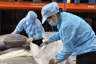 Công nhân Simexco DakLak đóng thùng lô hàng vỏ cà-phê Cascara đặc sản trước khi xuất khẩu sang thị trường Hàn Quốc. 