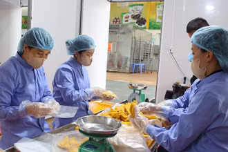 Đóng gói sản phẩm tại Hợp tác xã nông nghiệp Quyết Thanh, thị trấn Nông trường Mộc Châu (Sơn La).