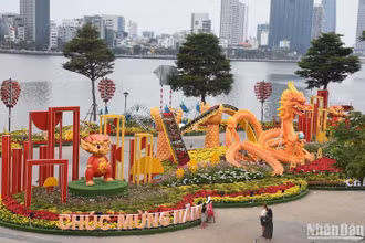 Các linh vật rồng tại đường hoa Tết Đà Nẵng sẽ được tập trung về làm Công viên Rồng tại quận Sơn Trà. (Ảnh: ANH ĐÀO)