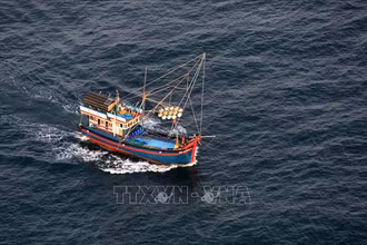 Ảnh minh họa: TTXVN