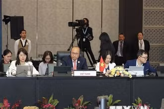 Đại diện Việt Nam tham dự Hội nghị tham vấn AEM - Liên minh châu Âu (EU) lần thứ 19. (Ảnh: Hữu Chiến/TTXVN)
