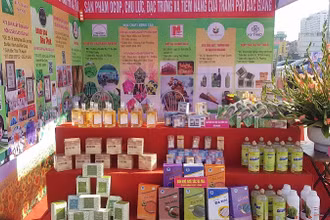 Trưng bày sản phẩm tại Ngày hội