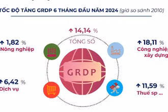 Các ngành kinh tế đóng góp tăng trưởng của Bắc Giang 6 tháng đầu năm 2024.