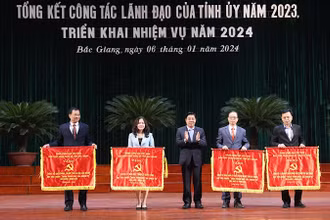 Tỉnh uỷ Bắc Giang tặng cờ thi đua cho các chi bộ đảng có nhiều thành tích xuất sắc.
