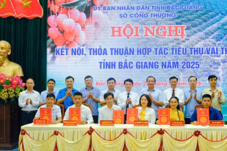 Ký kết hợp tác tiêu thụ vải thiều Bắc Giang 2025.