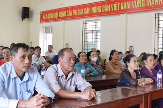 Các đại biểu dự hội nghị.