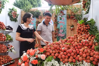 Gian trưng bày vải thiều chính vụ tại sự kiện.