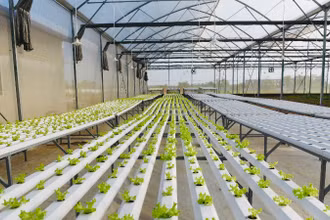  Nhiều doanh nghiệp “lúng túng” trong việc chứng minh tính xanh của dự án khi tiếp cận nguồn vốn ưu đãi. (Ảnh: MINH PHƯƠNG)