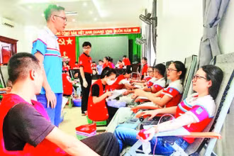 Thanh niên Công ty xăng dầu Thanh Hóa hưởng ứng Chương trình "Hành trình đỏ-Kết nối dòng máu Việt".