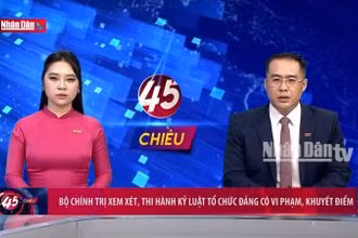 Bộ Chính trị xem xét, thi hành kỷ luật tổ chức đảng có vi phạm, khuyết điểm