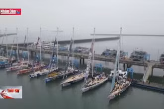 Đoàn đua thuyền Clipper Race trình diễn tại Vịnh Hạ Long