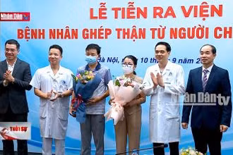 Cuộc đời hồi sinh từ nguồn hiến tạng