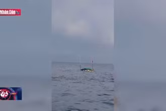 Tai nạn chìm tàu cá, 9 ngư dân thương vong