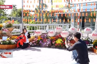 Ấn tượng Festival Hoa Kiểng Sa Đéc