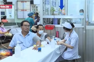 Đề phòng vật nuôi gây bệnh chết người mùa nắng nóng