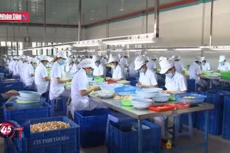 Cập nhật 2 kịch bản tăng trưởng của năm 2024