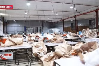 Số doanh nghiệp xuất khẩu triệu USD qua thương mại điện tử tăng mạnh