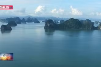Quảng Ninh đưa Sách Trắng về khu vực vịnh Hạ Long vào giảng dạy