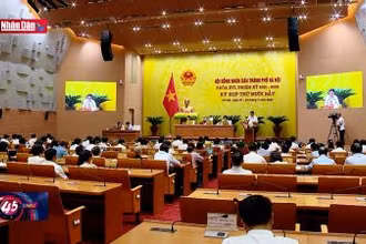 Hà Nội thay thế toàn bộ xe buýt chạy diezel sau năm 2035