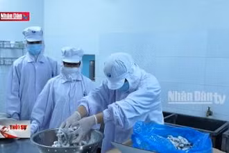 Sản phẩm khoa học công nghệ trong nông nghiệp khó tiếp cận thị trường