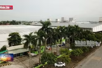 Khu công nghiệp sinh thái - hướng phát triển bền vững