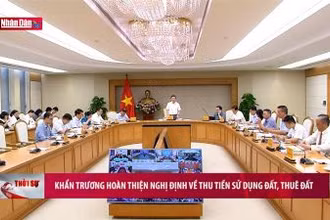 Khẩn trương hoàn thiện Nghị định về thu tiền sử dụng đất, thuê nhà