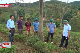 Xây dựng bản lĩnh chính trị - Chìa khóa vượt khó khăn, thử thách