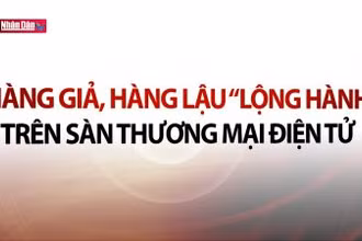Hàng giả, hàng lậu ''lộng hành'' trên sàn thương mại điện tử
