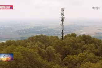 Các nhà mạng sẵn sàng cho cuộc chạy đua đấu giá tần số 5G