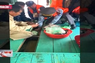 Đấu tranh phòng, chống tội phạm trên tuyến biển